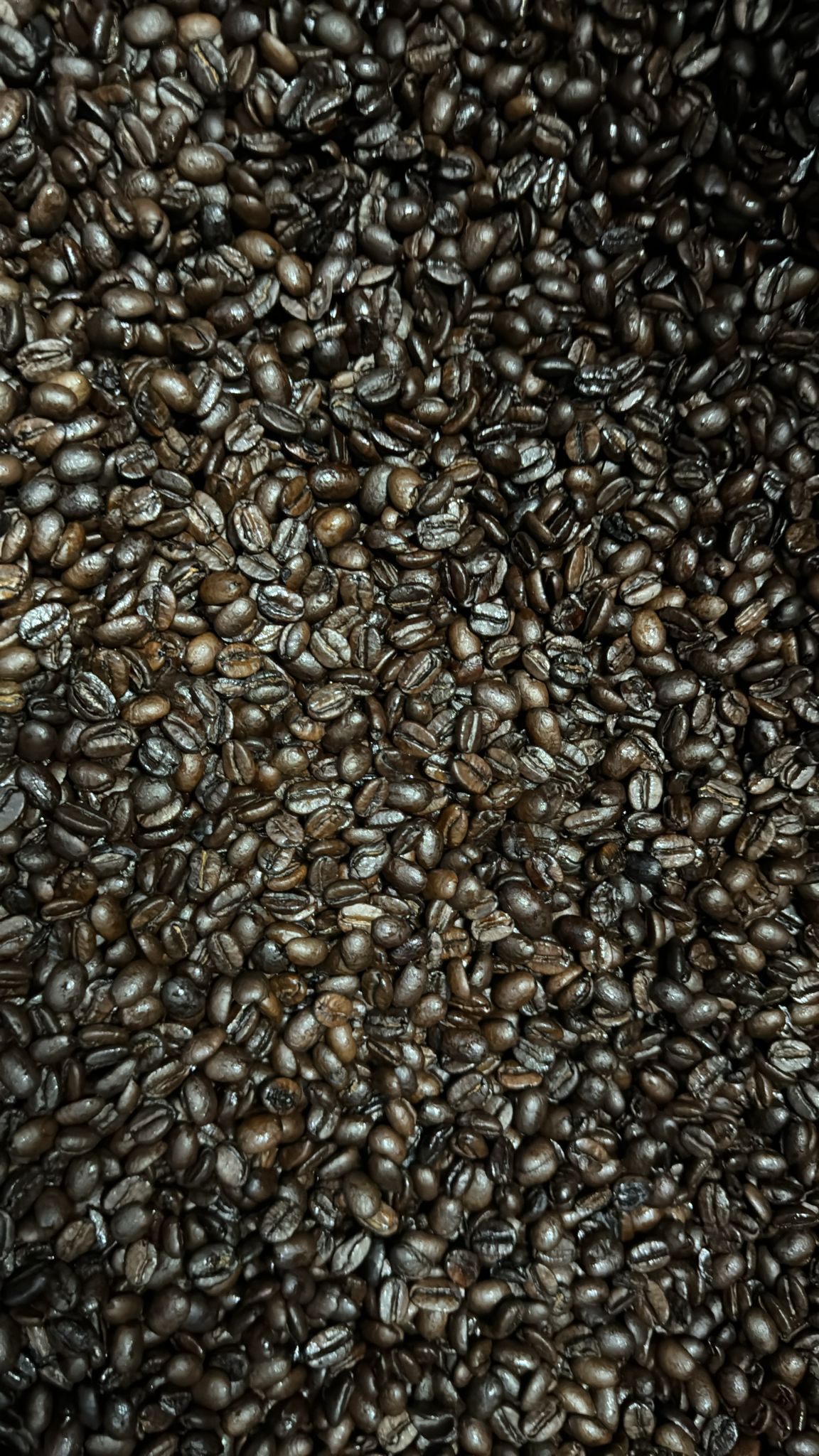 French Roast