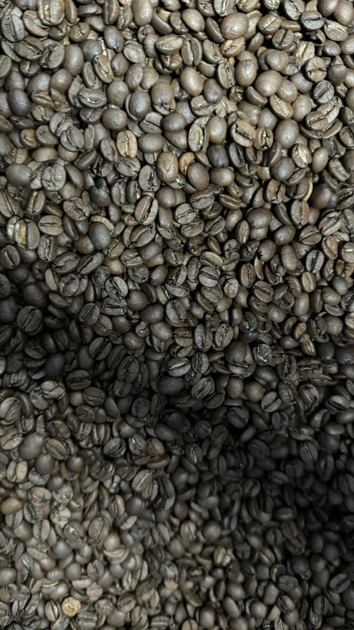 Sunny Morning Blend
